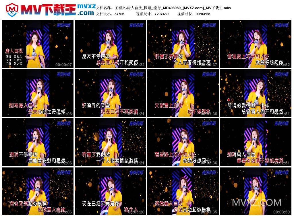 王理文-庸人自扰_国语_流行_MD403980